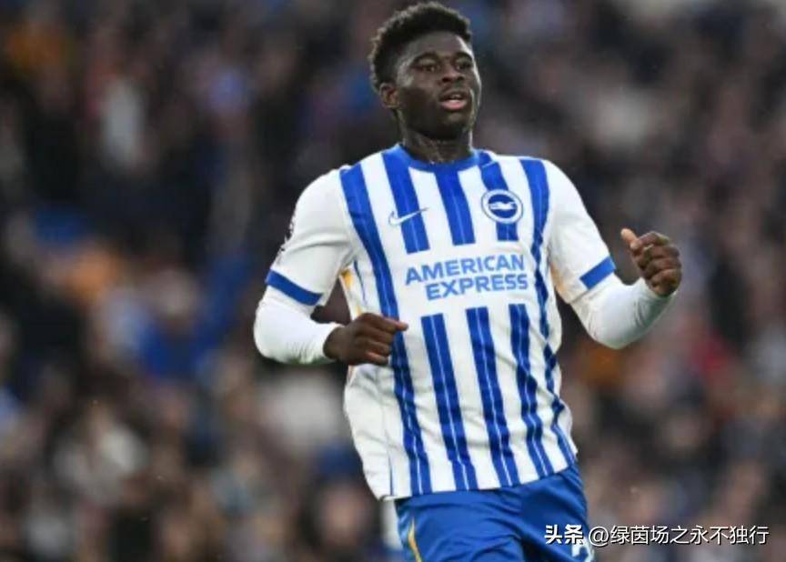 BB体育-布莱顿迎荷甲关键赛，关键时刻扳平良机，气氛紧张，资深球员宣示担当的简单介绍